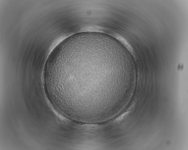 X0000091330893200709071154