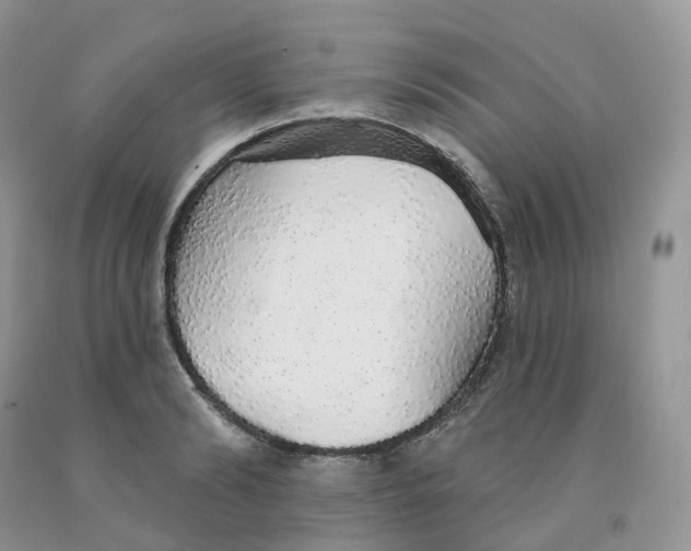 X0000091330894200709071154