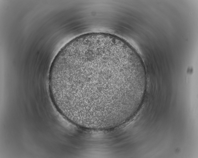 X0000091330895200709071154