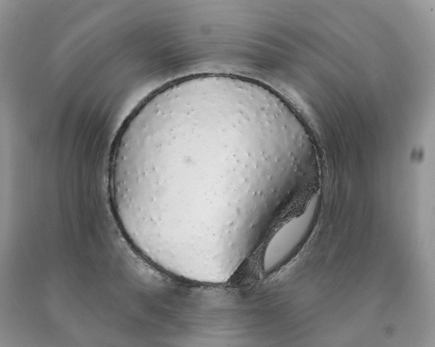 X0000091330896200709071154