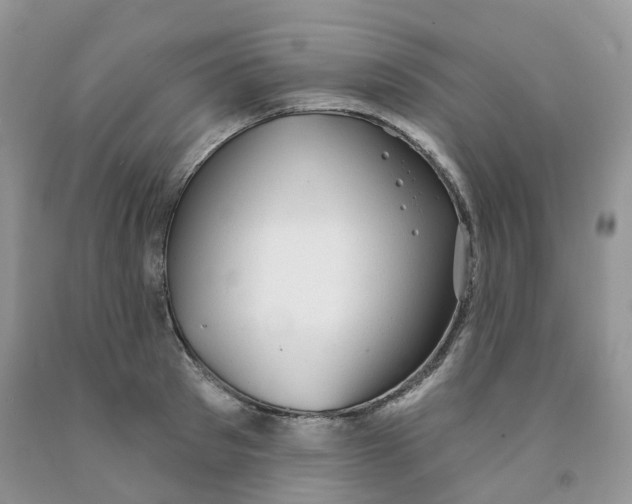 X0000091330897200709071154