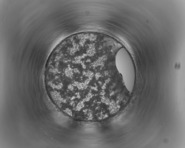 X0000091330899200709071154