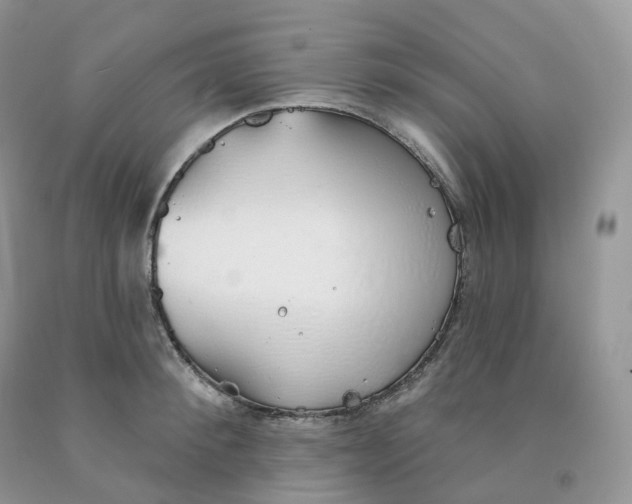 X0000091330900200709071154