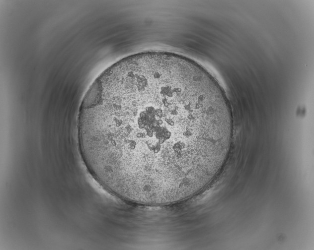 X0000091330903200709071154