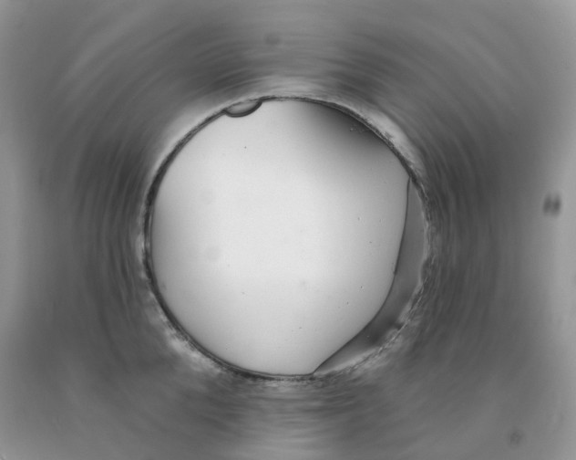 X0000091330904200709071154