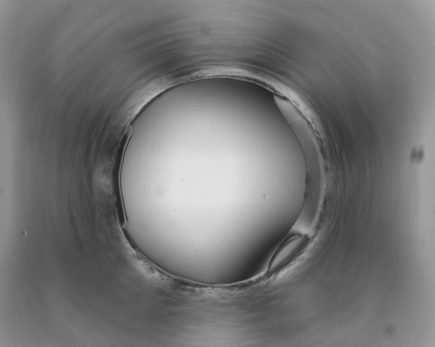 X0000091330905200709071154