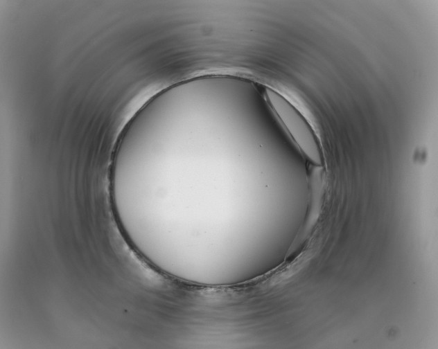 X0000091330906200709071154