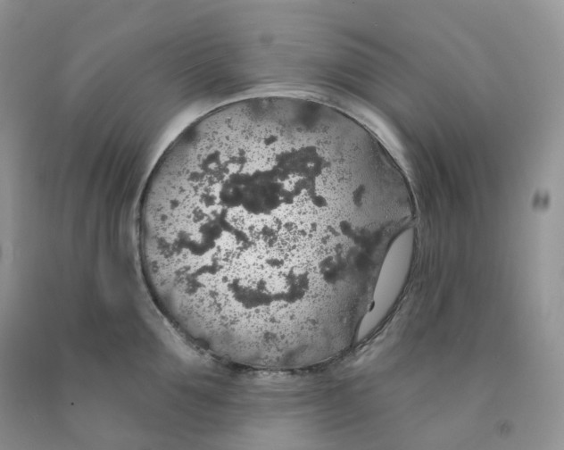 X0000091330907200709071154