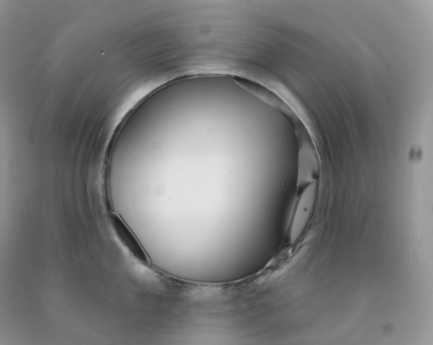 X0000091330909200709071154