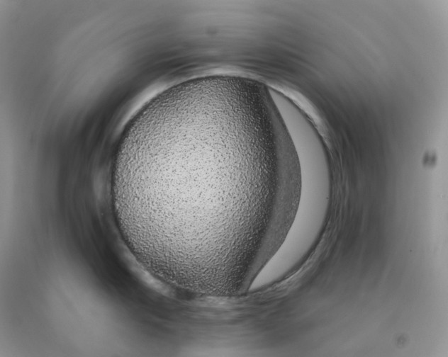 X0000091330910200709071154