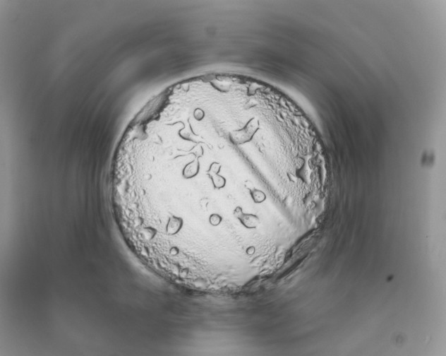X0000091330911200709071154