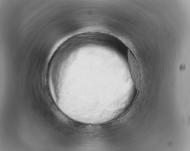 X0000091330912200709071154