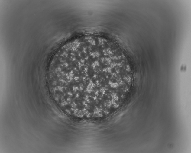 X0000091330913200709071154