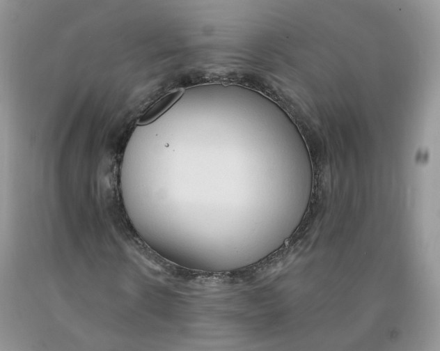 X0000091330914200709071154
