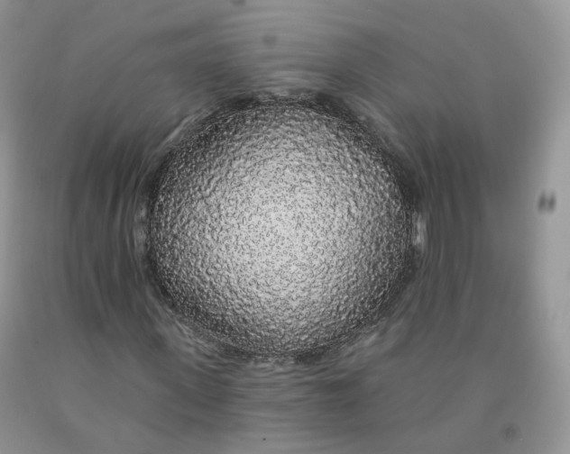X0000091330915200709071154