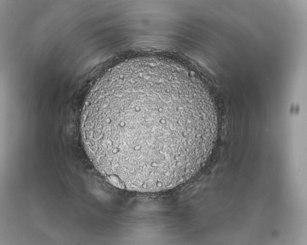 X0000091330917200709071154