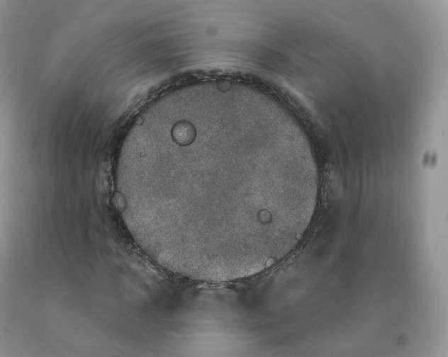 X0000091330918200709071154