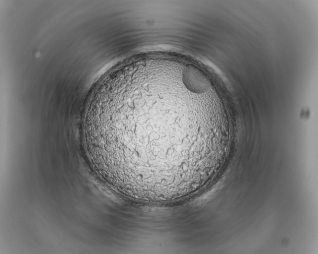 X0000091330921200709071154