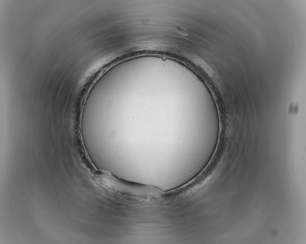 X0000091330922200709071154