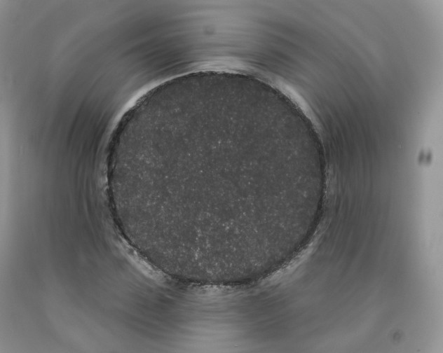 X0000091330923200709071154