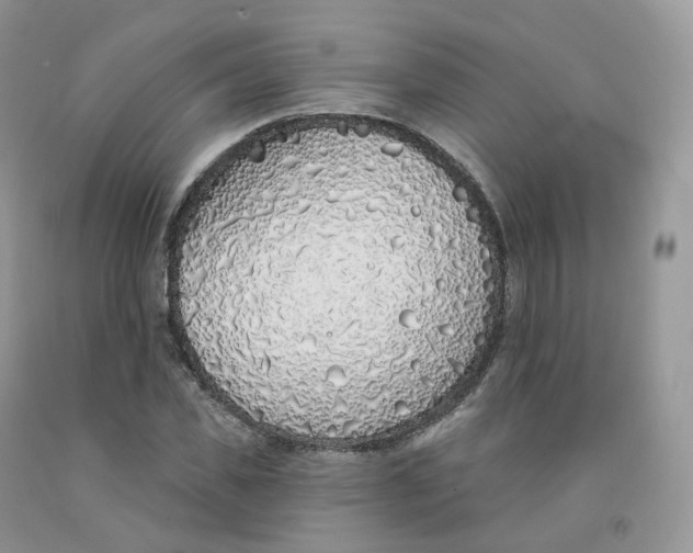 X0000091330925200709071154
