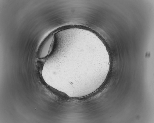 X0000091330926200709071154