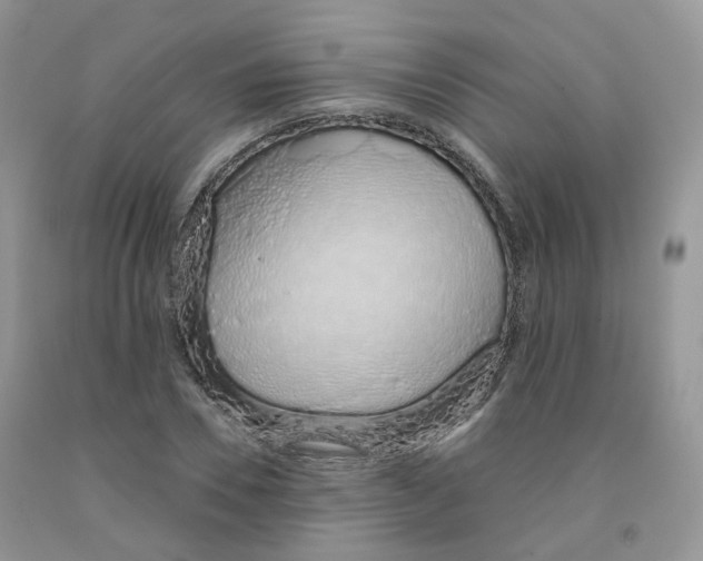 X0000091330930200709071154