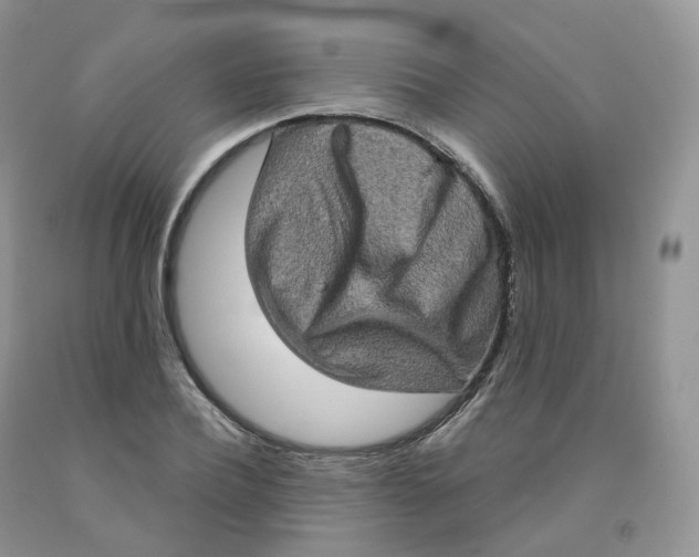 X0000091330932200709071154