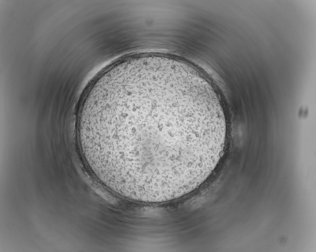 X0000091330933200709071154