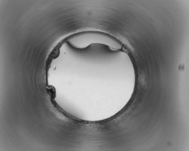 X0000091330934200709071154
