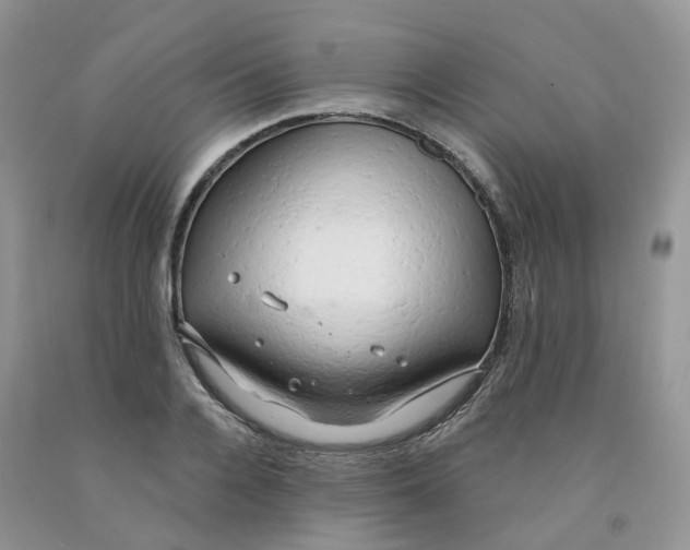 X0000091330936200709071154