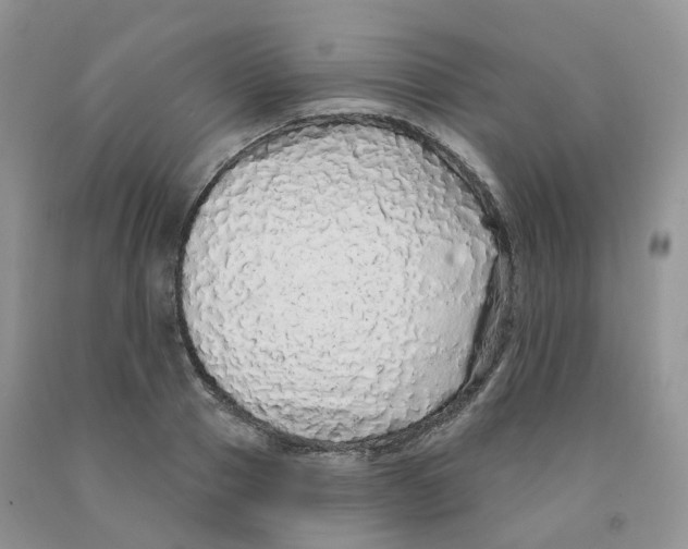 X0000091330937200709071154