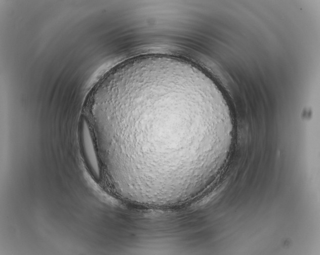 X0000091330938200709071154