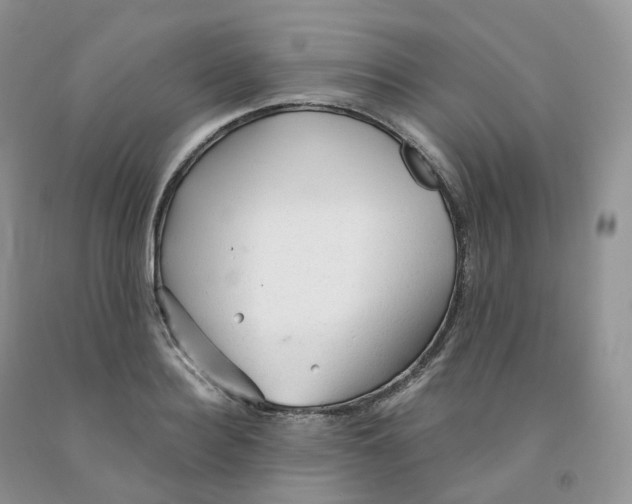 X0000091330940200709071154
