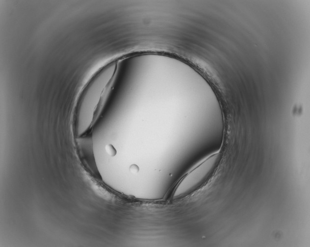 X0000091330942200709071154