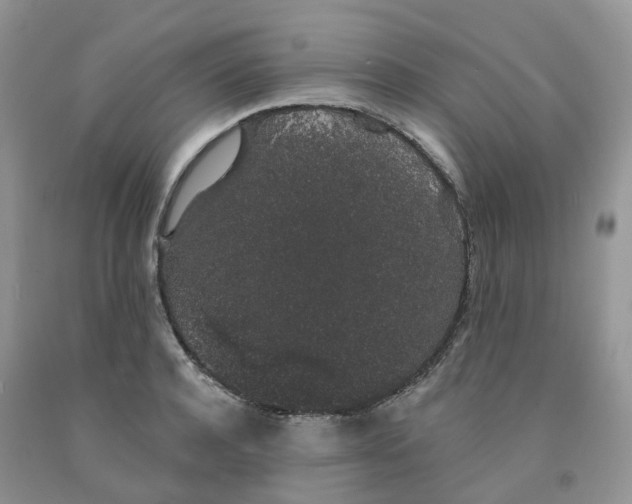 X0000091330944200709071154