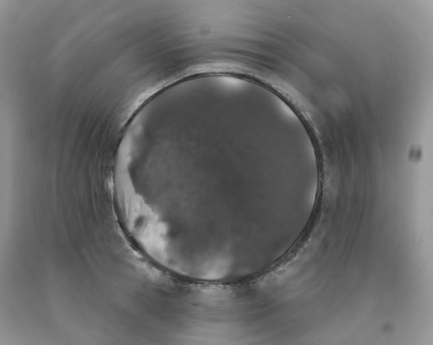 X0000091330945200709071154