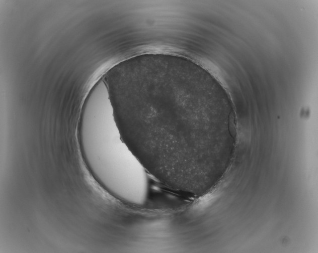 X0000091330946200709071154