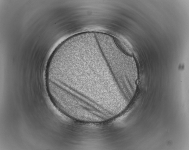 X0000091330947200709071154