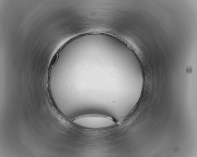 X0000091330948200709071154