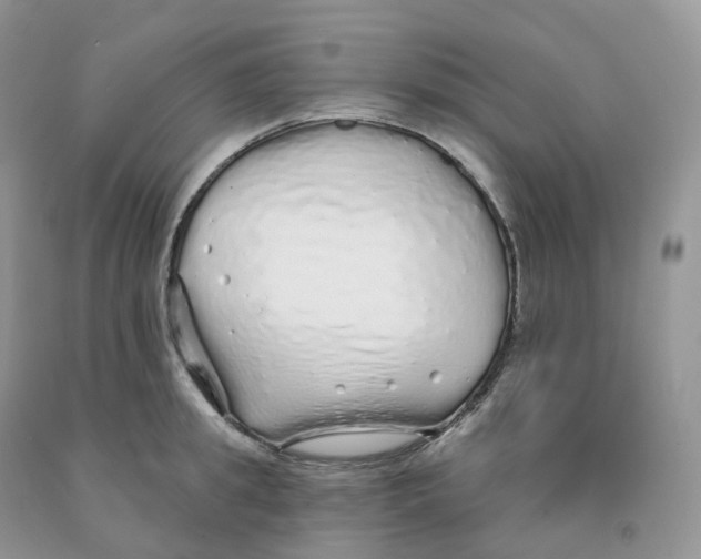 X0000091330949200709071154