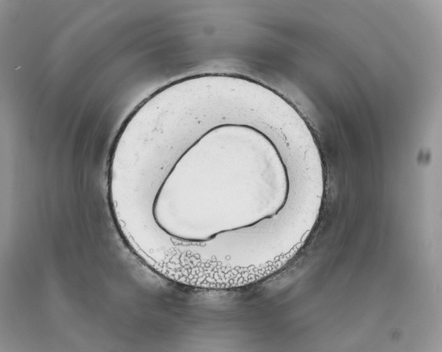 X0000091330950200709071154