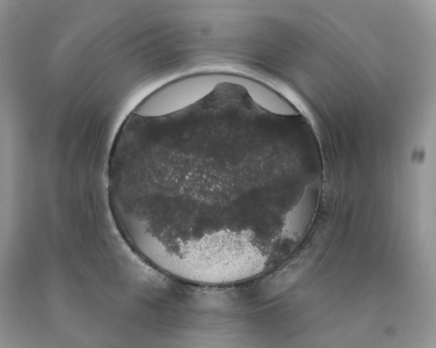 X0000091330951200709071154