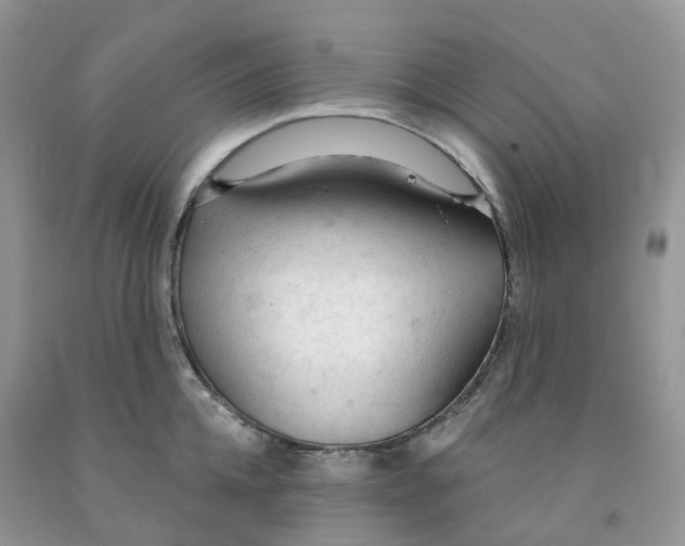 X0000091330952200709071154
