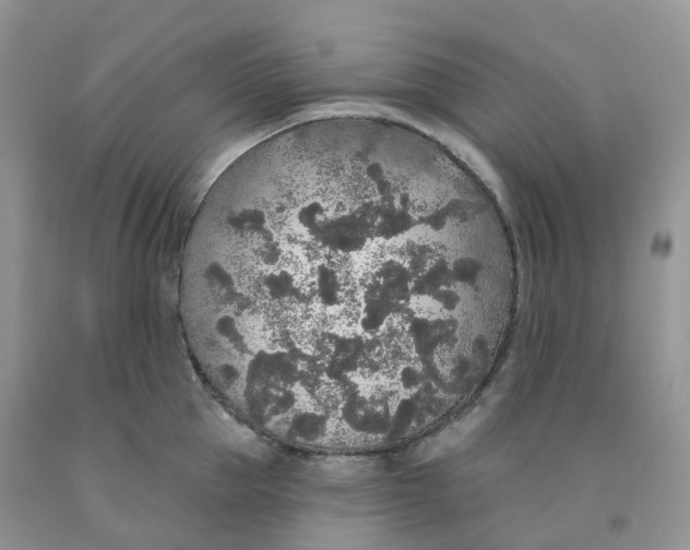 X0000091330953200709071154