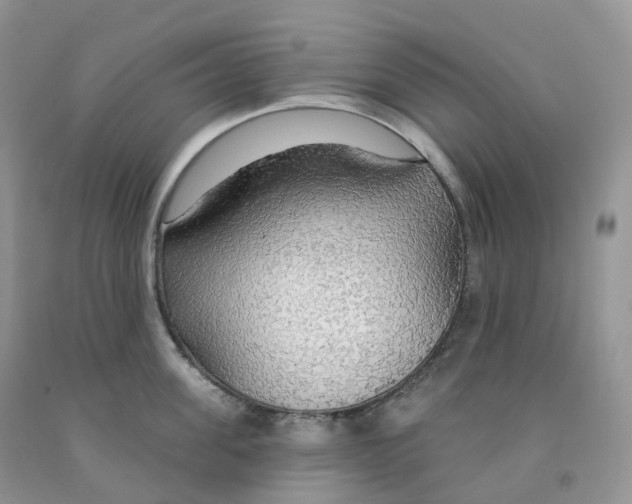 X0000091330955200709071154