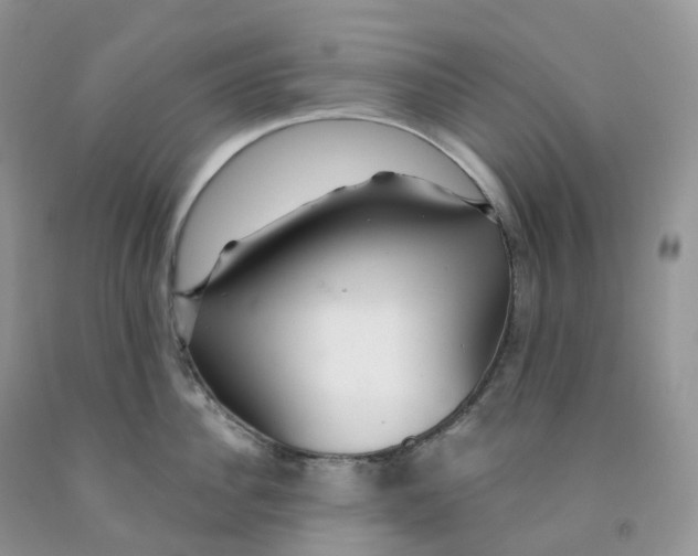 X0000091330956200709071154