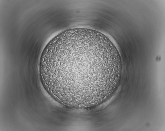 X0000091330957200709071154
