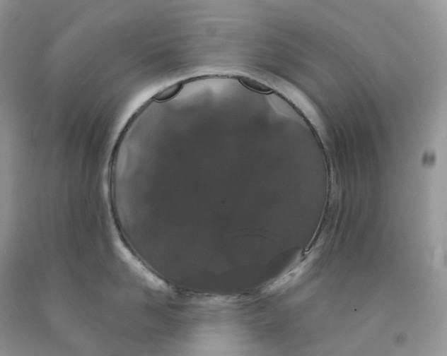 X0000091330958200709071154