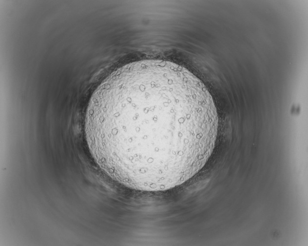 X0000091330962200709071153